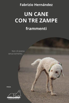 Un cane con tre zampe-image