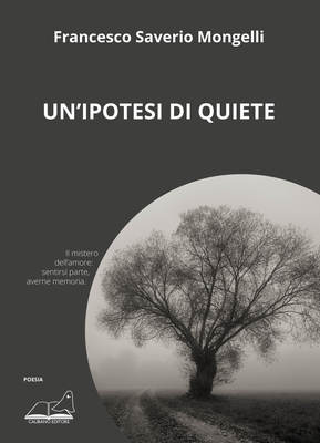 Un’ipotesi di quiete-image