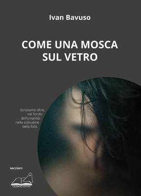 Come una mosca sul vetro-image